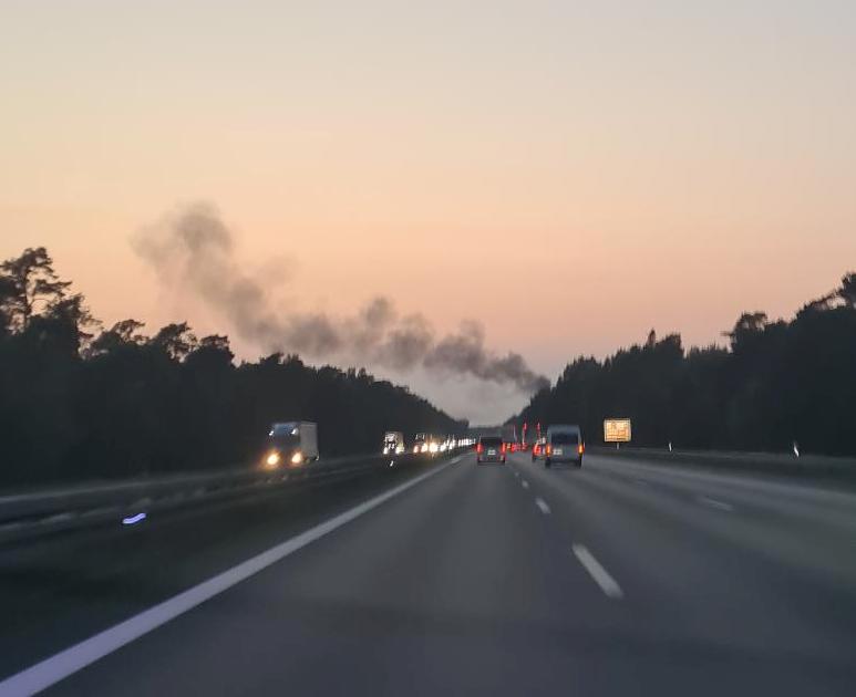 20250813_205355 zugeschnitten.jpg